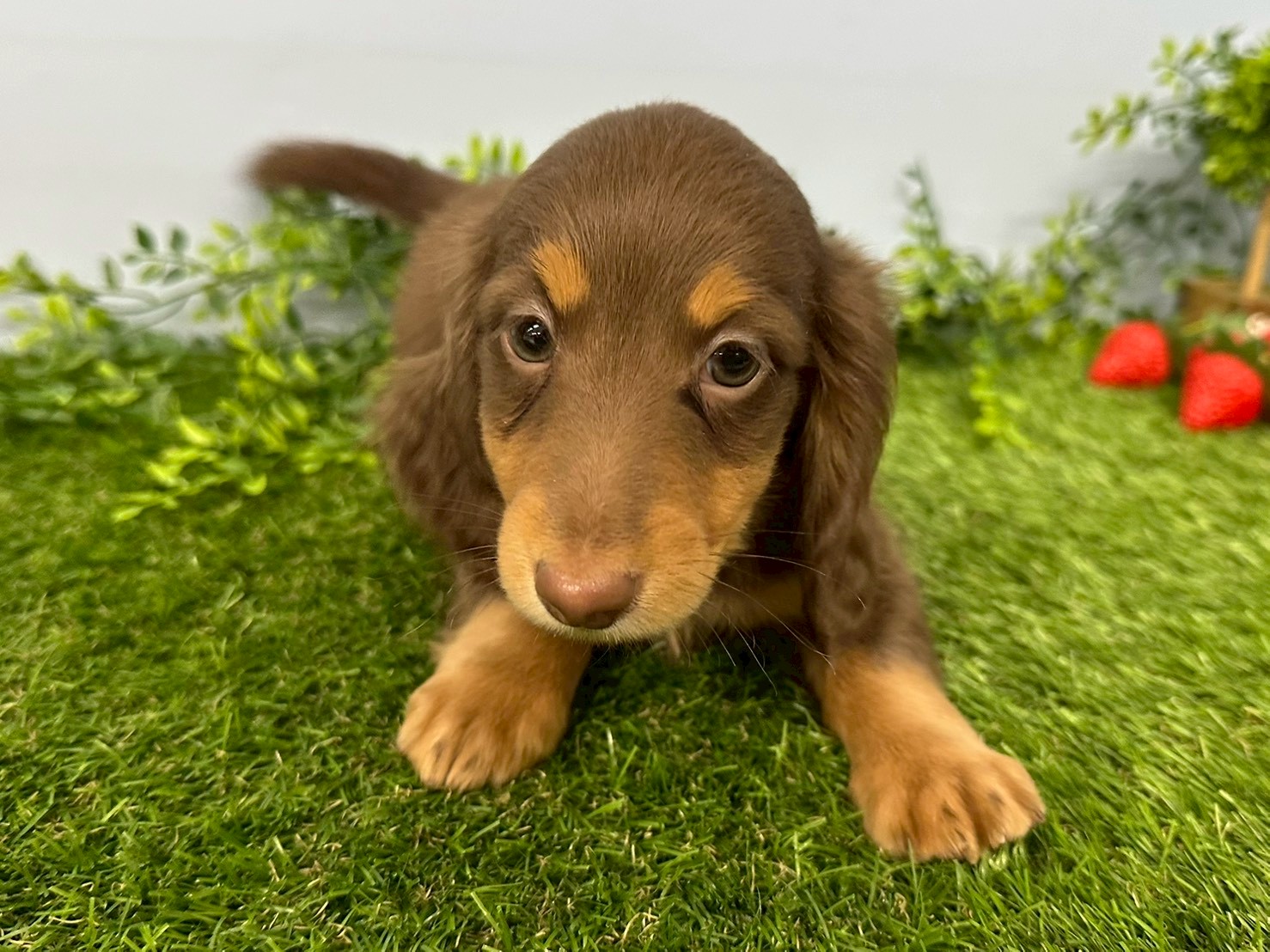 赤ちゃん写真3-1