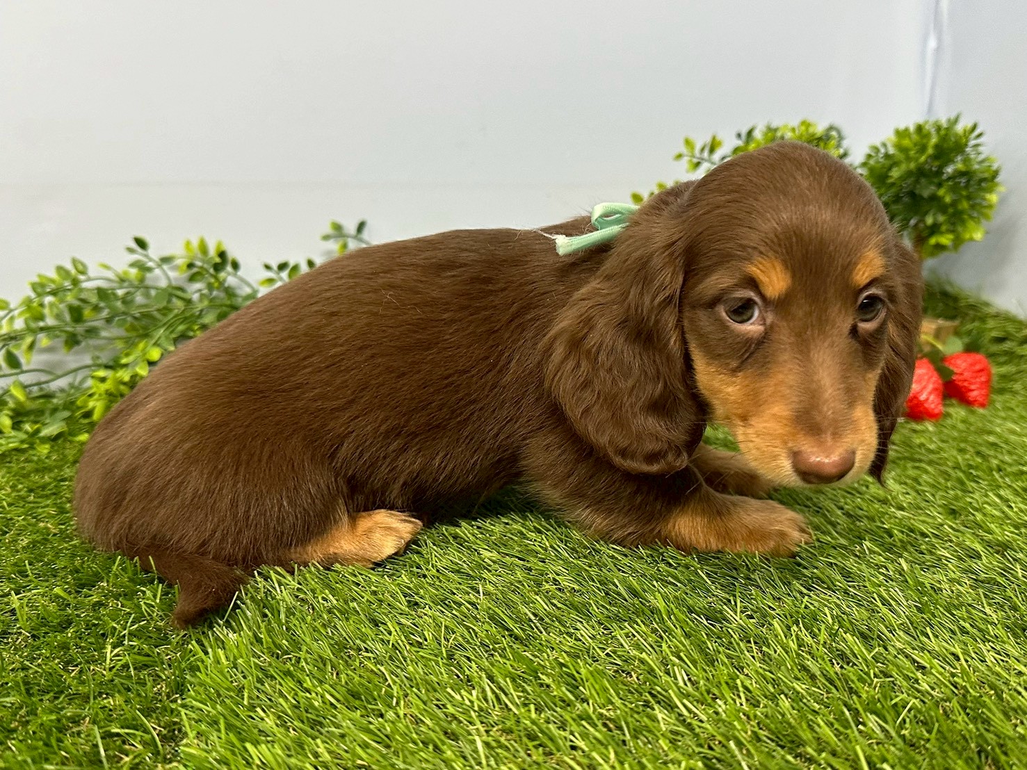 赤ちゃん写真3-2