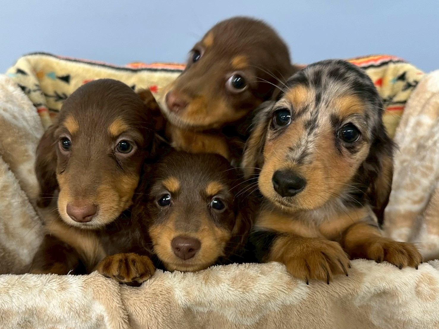 赤ちゃん写真3-3