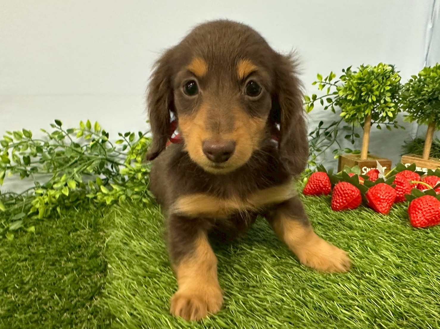 赤ちゃん写真3-1