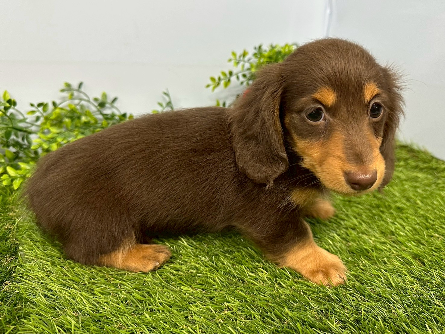 赤ちゃん写真3-2