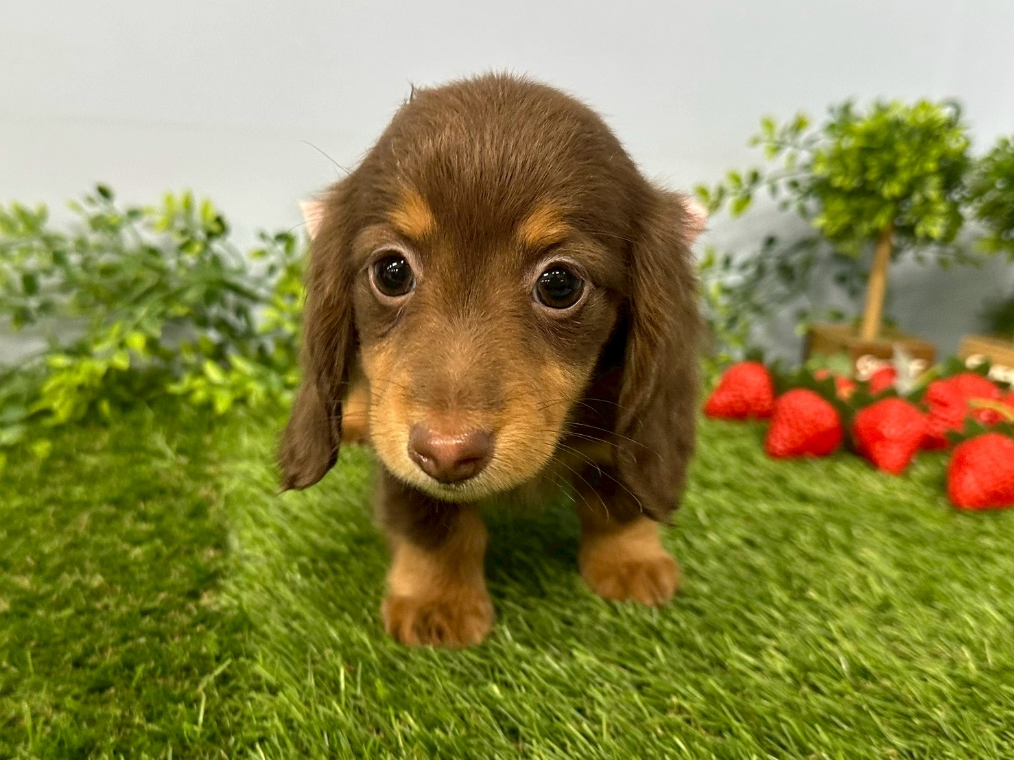 赤ちゃん写真3-1