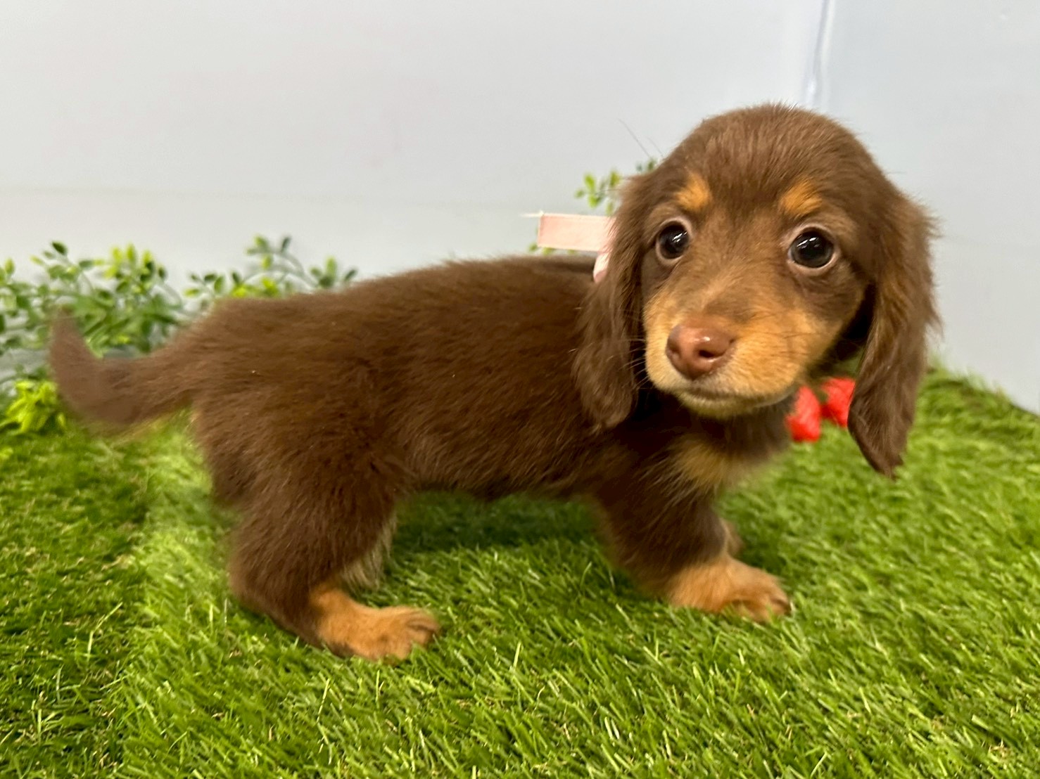 赤ちゃん写真3-2