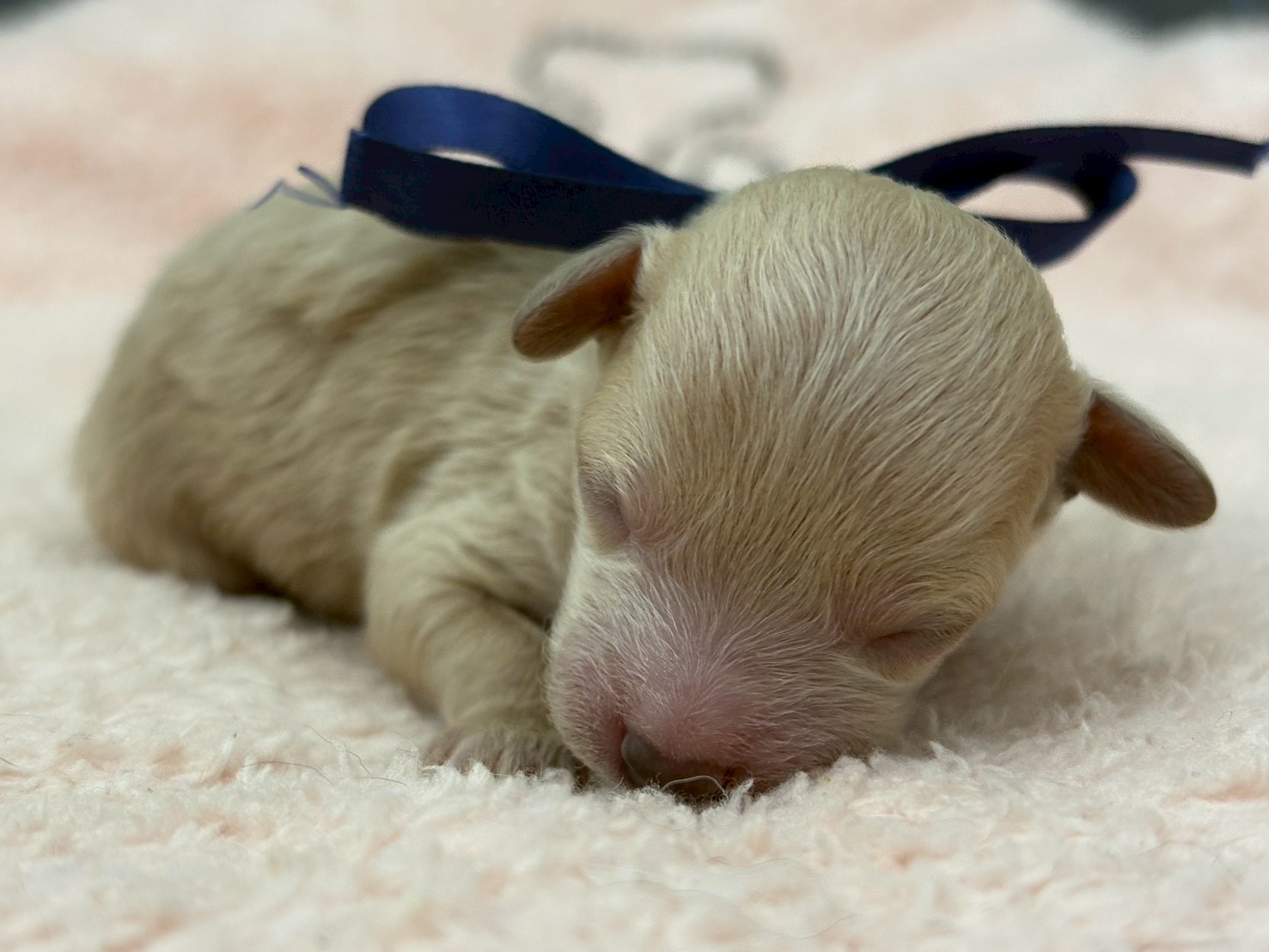 赤ちゃん写真1-1