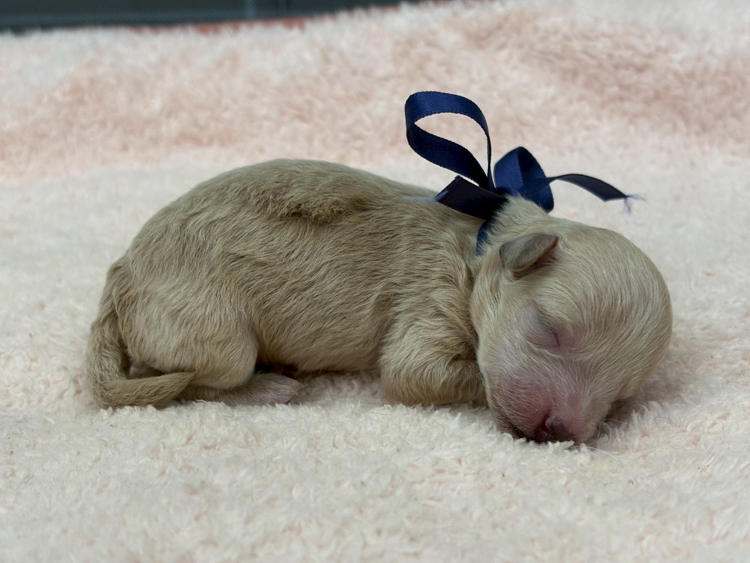 赤ちゃん写真1-2