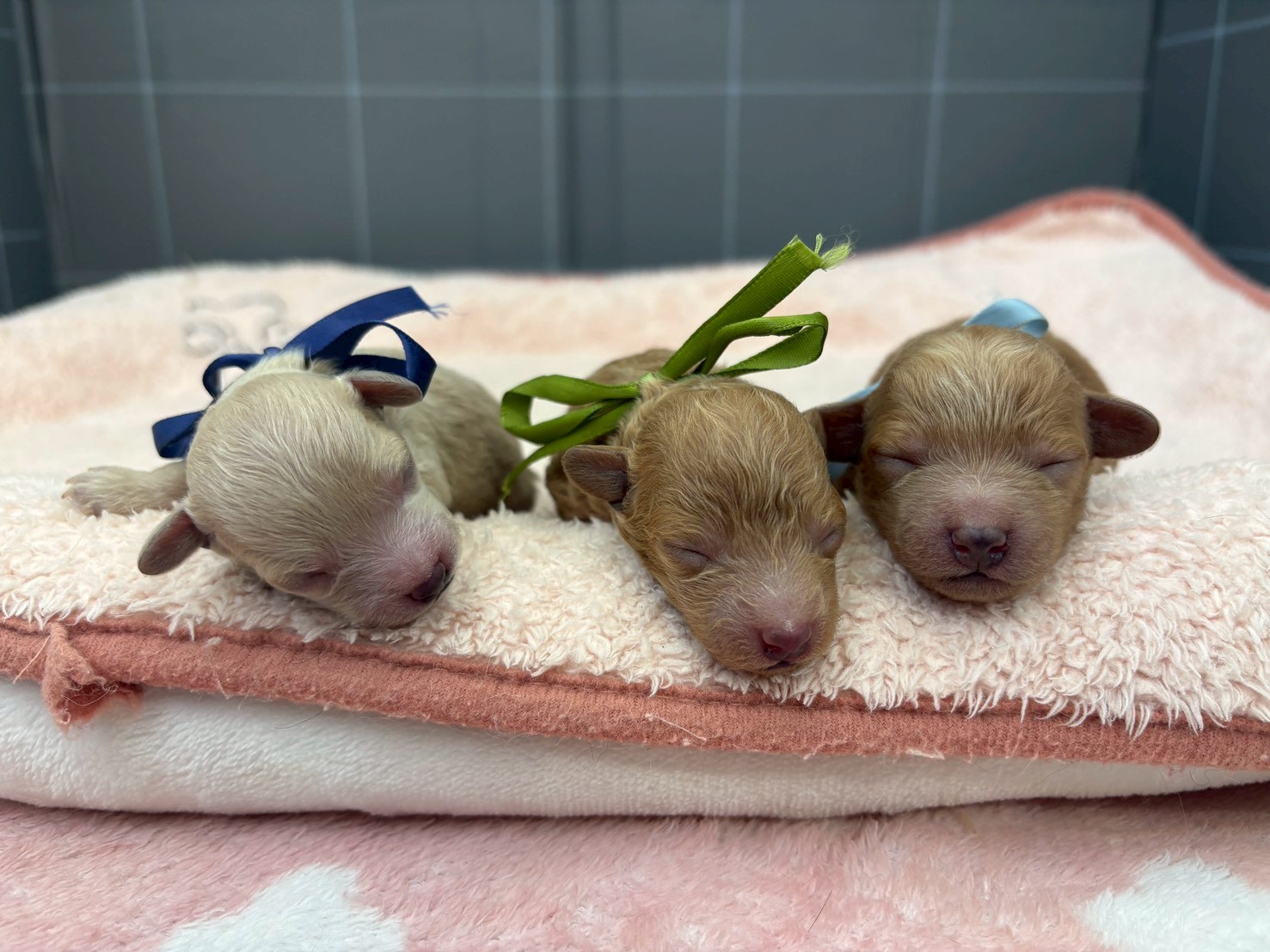 赤ちゃん写真1-3