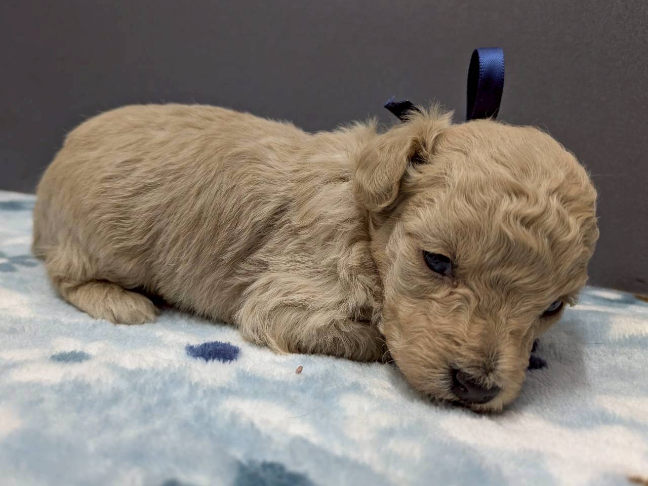 赤ちゃん写真2-2