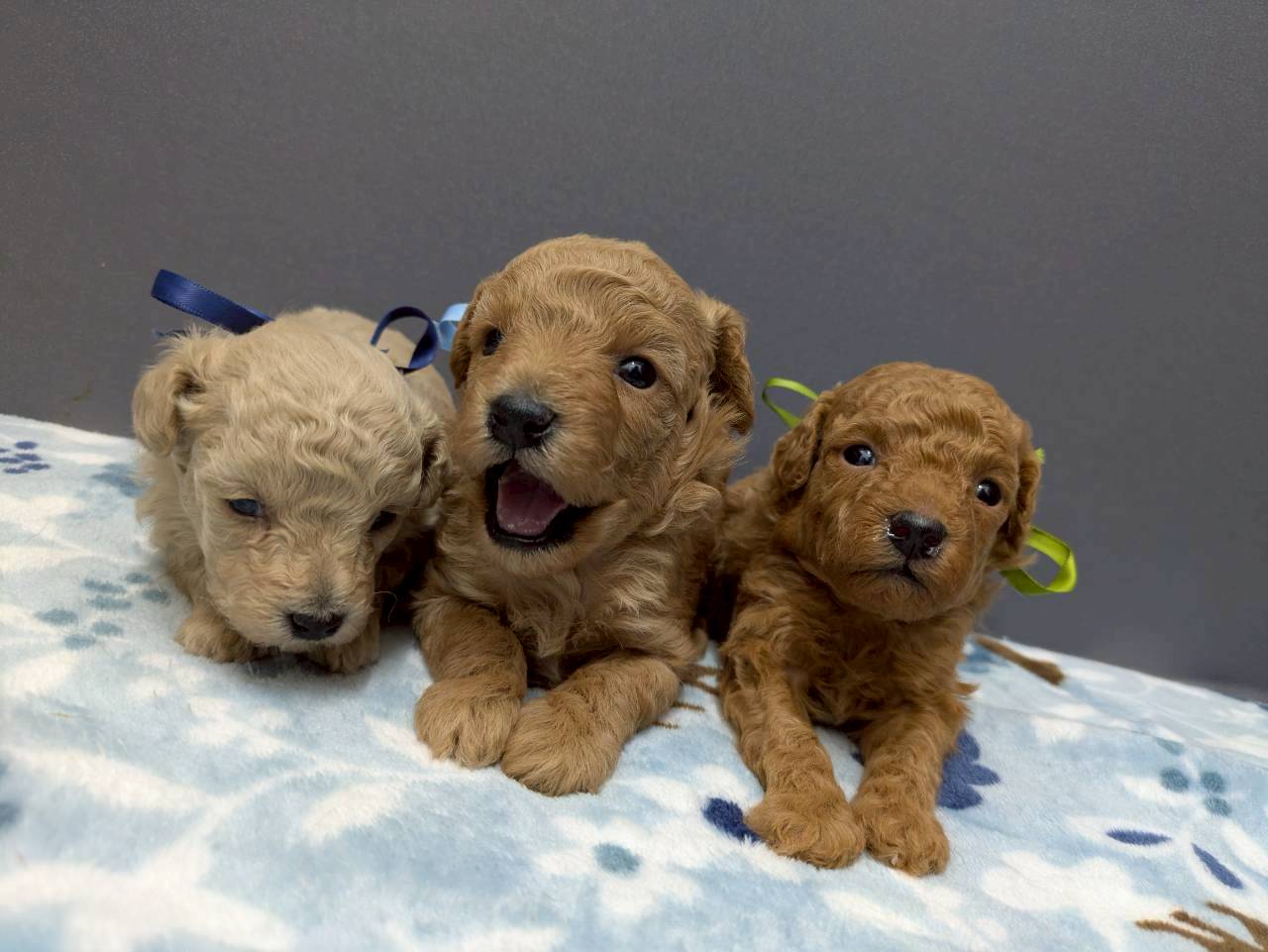 赤ちゃん写真2-3