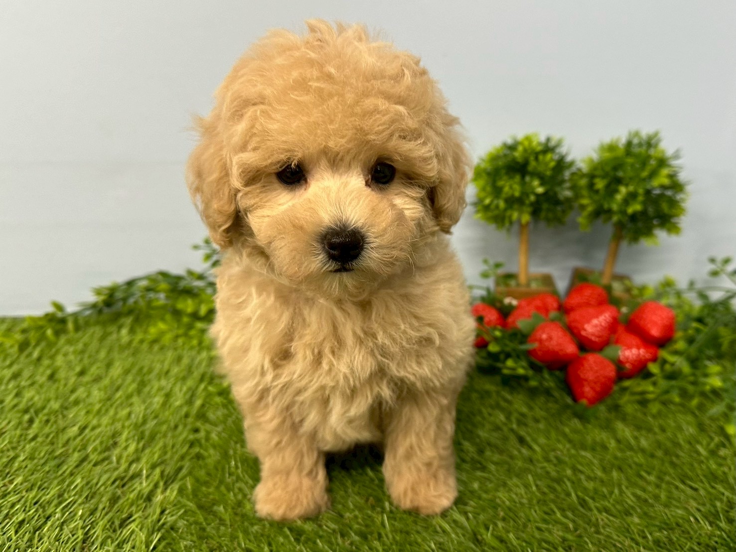 赤ちゃん写真3-1