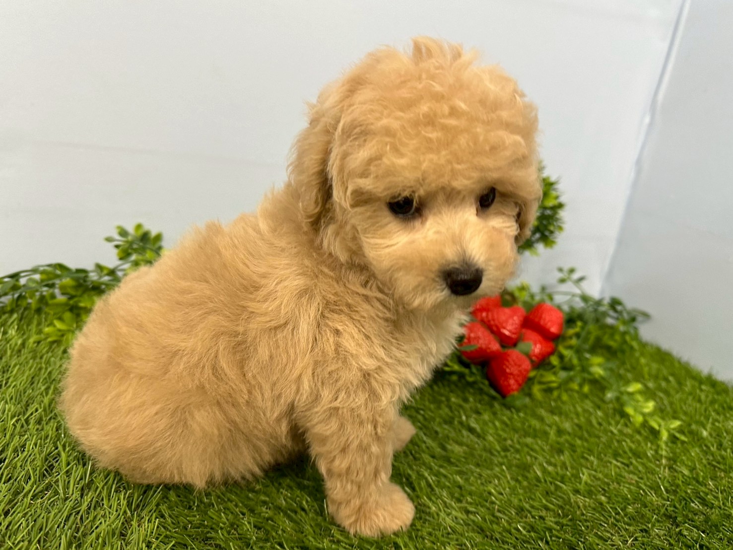 赤ちゃん写真3-2