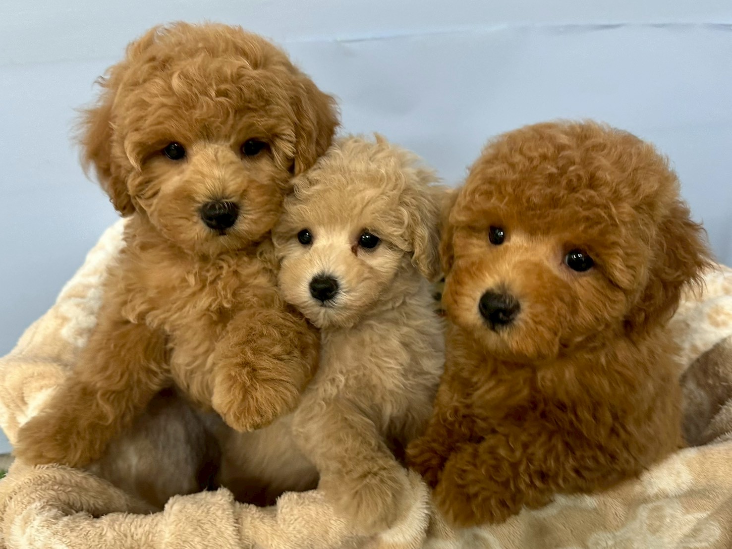 赤ちゃん写真3-3