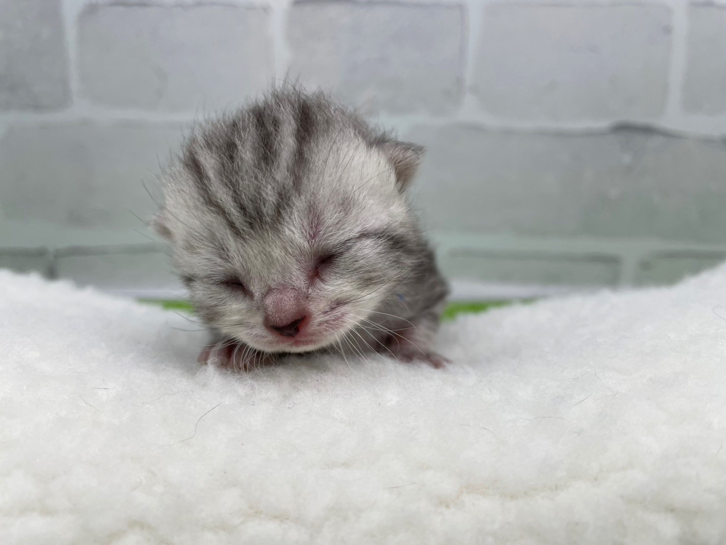 赤ちゃん写真1-1