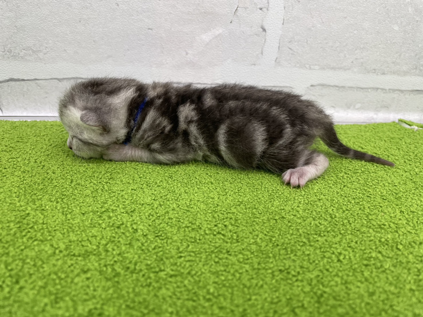 赤ちゃん写真1-2