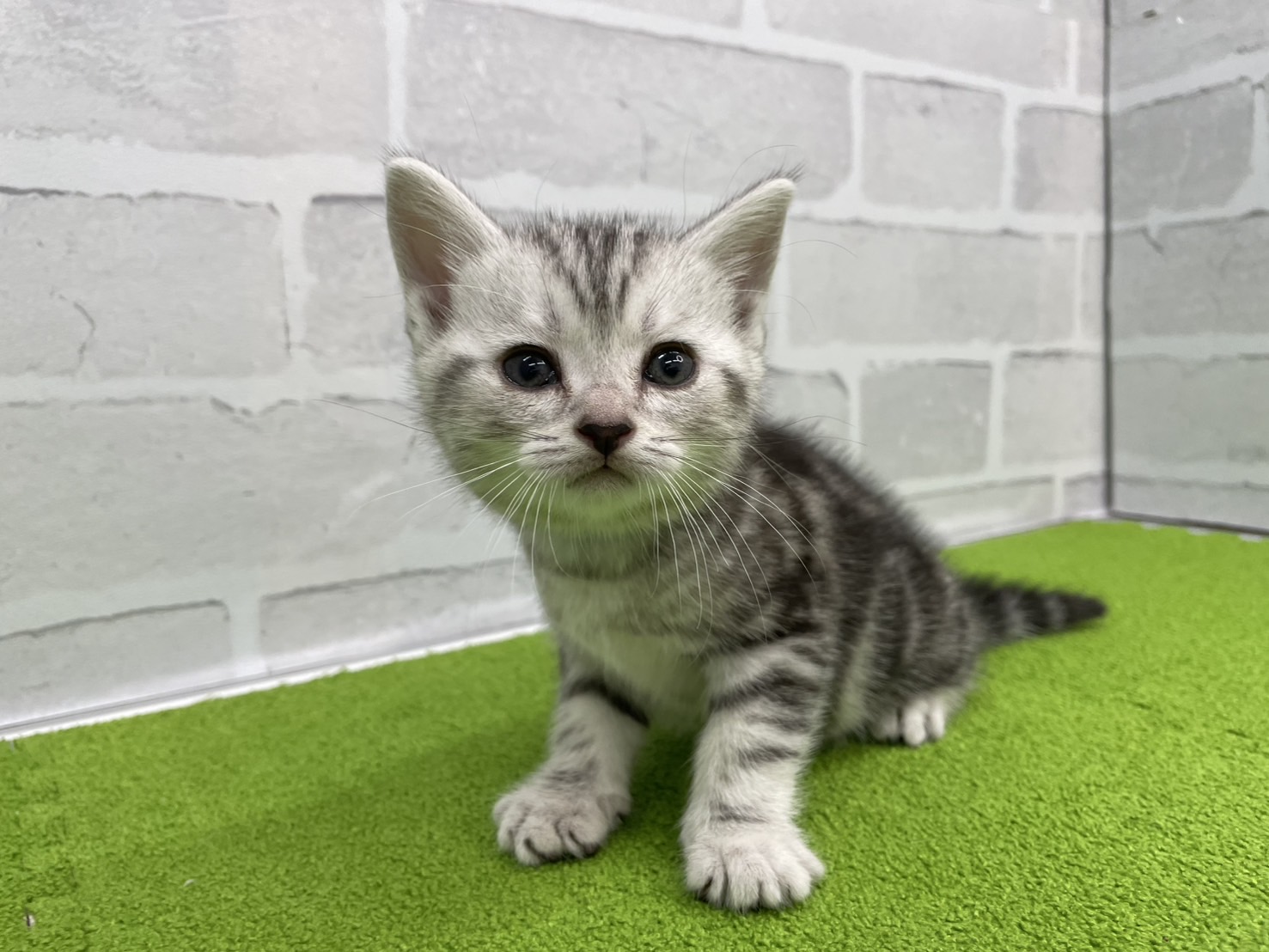 赤ちゃん写真2-1