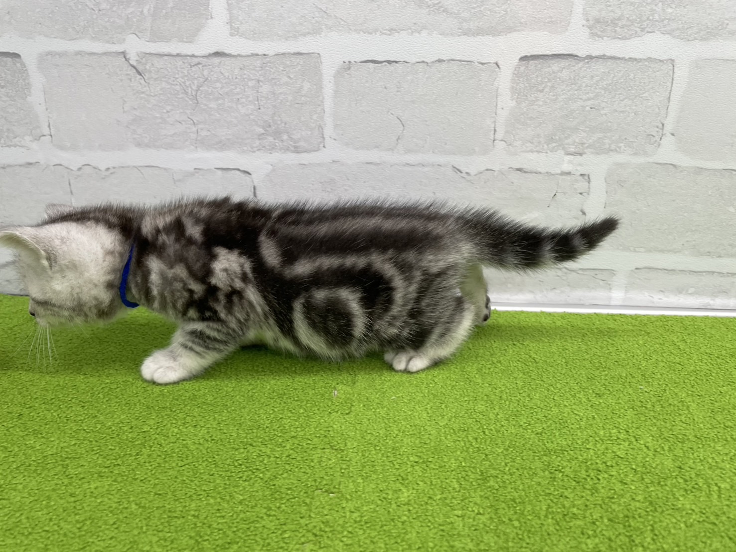 赤ちゃん写真2-2