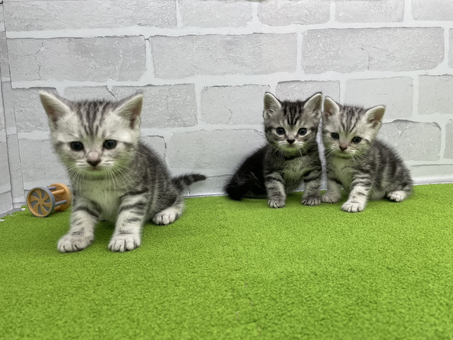 赤ちゃん写真2-3