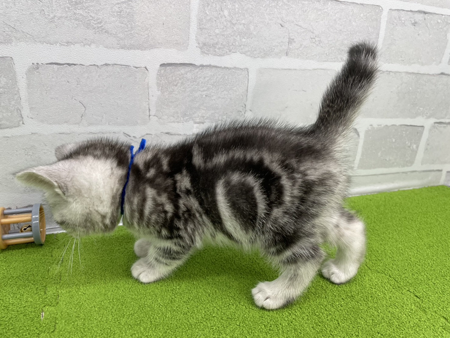 赤ちゃん写真3-2