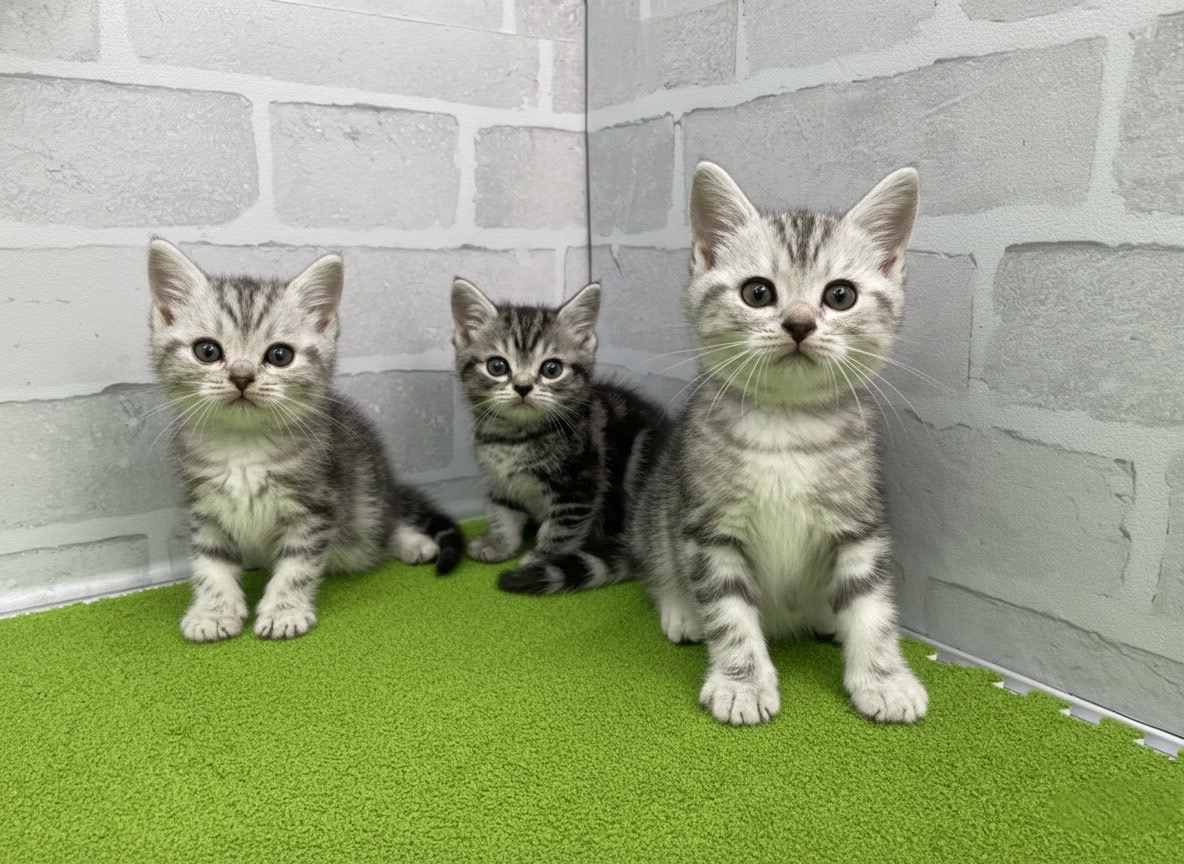 赤ちゃん写真3-3