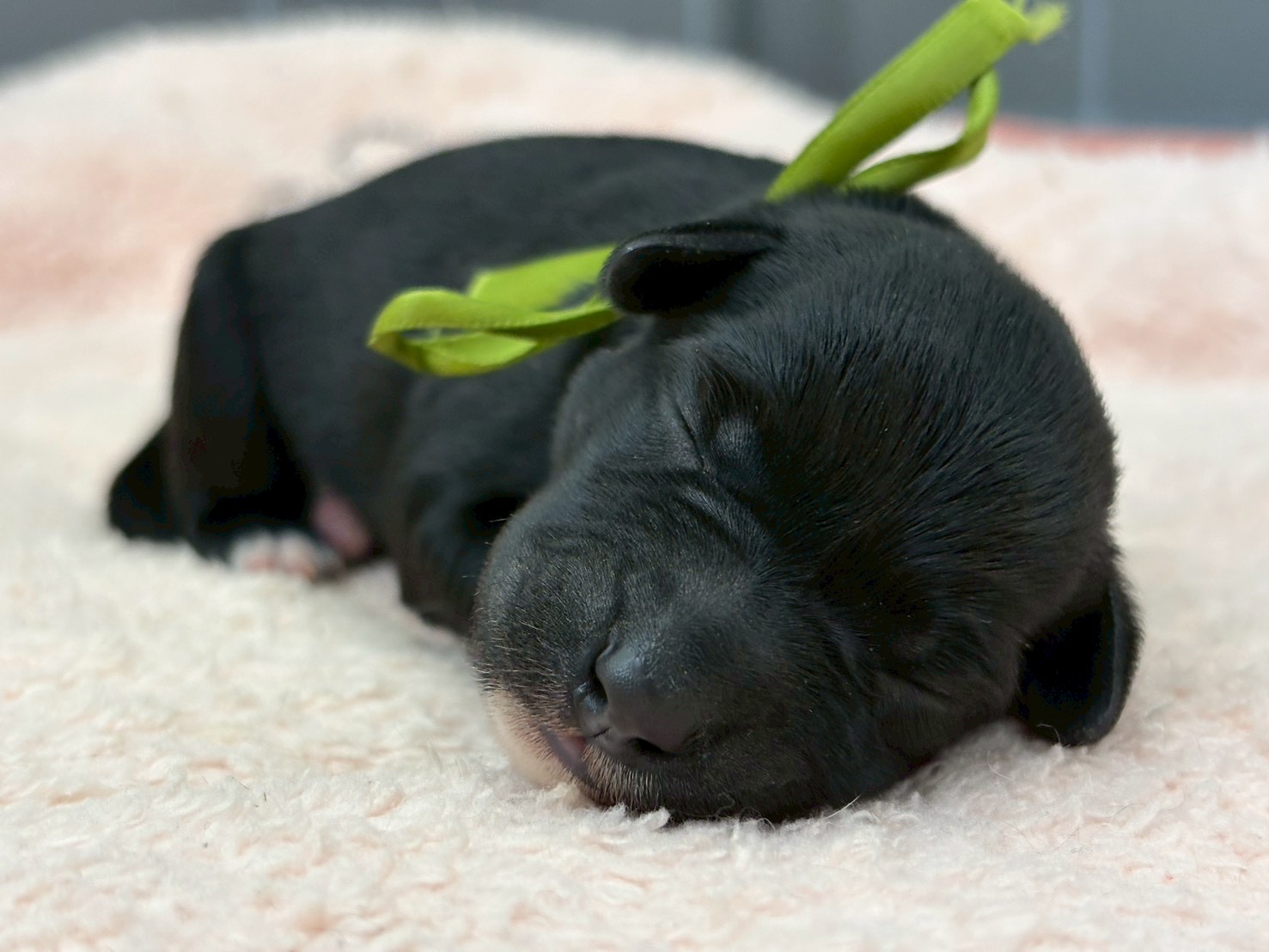 赤ちゃん写真1-1