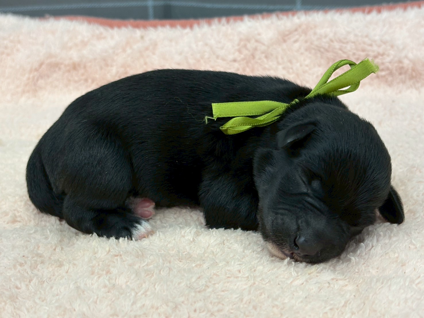 赤ちゃん写真1-2