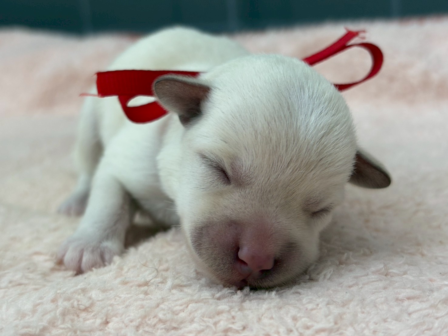 赤ちゃん写真1-1