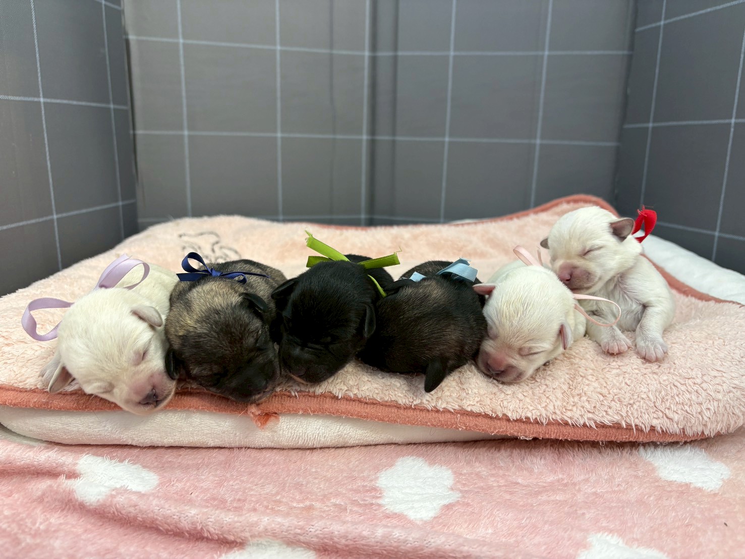 赤ちゃん写真1-3