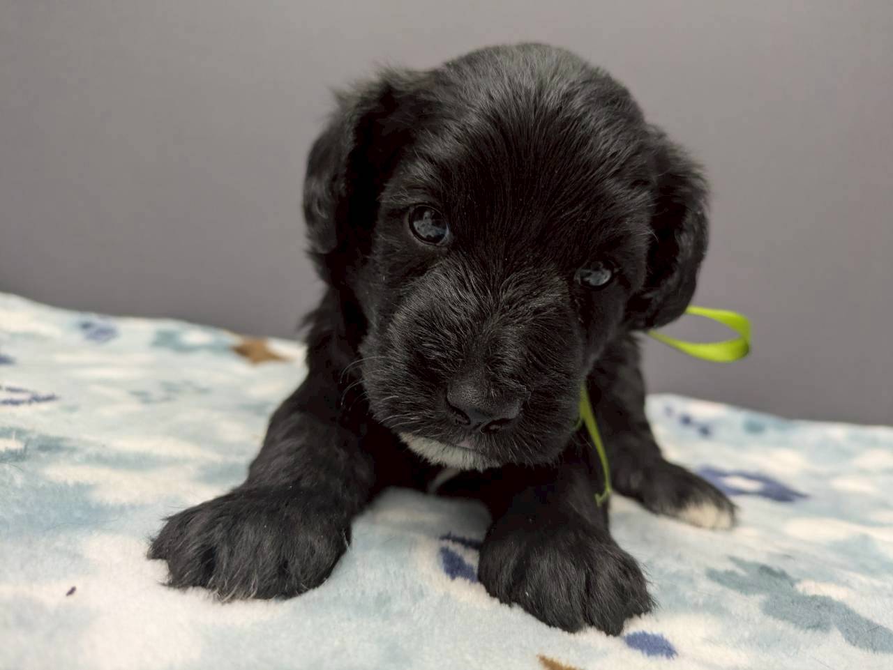 赤ちゃん写真2-1