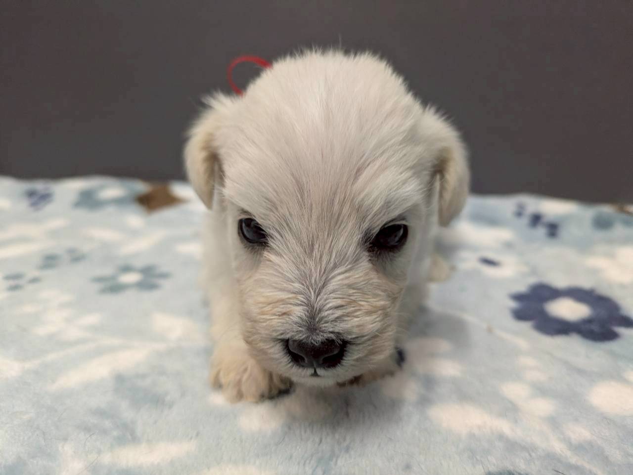 赤ちゃん写真2-1