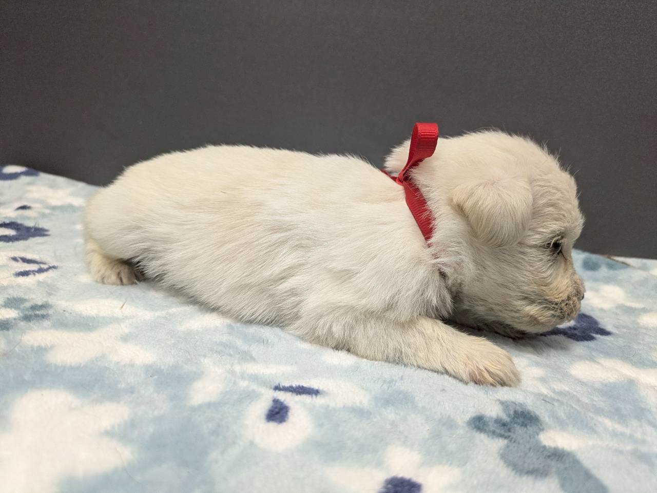 赤ちゃん写真2-2