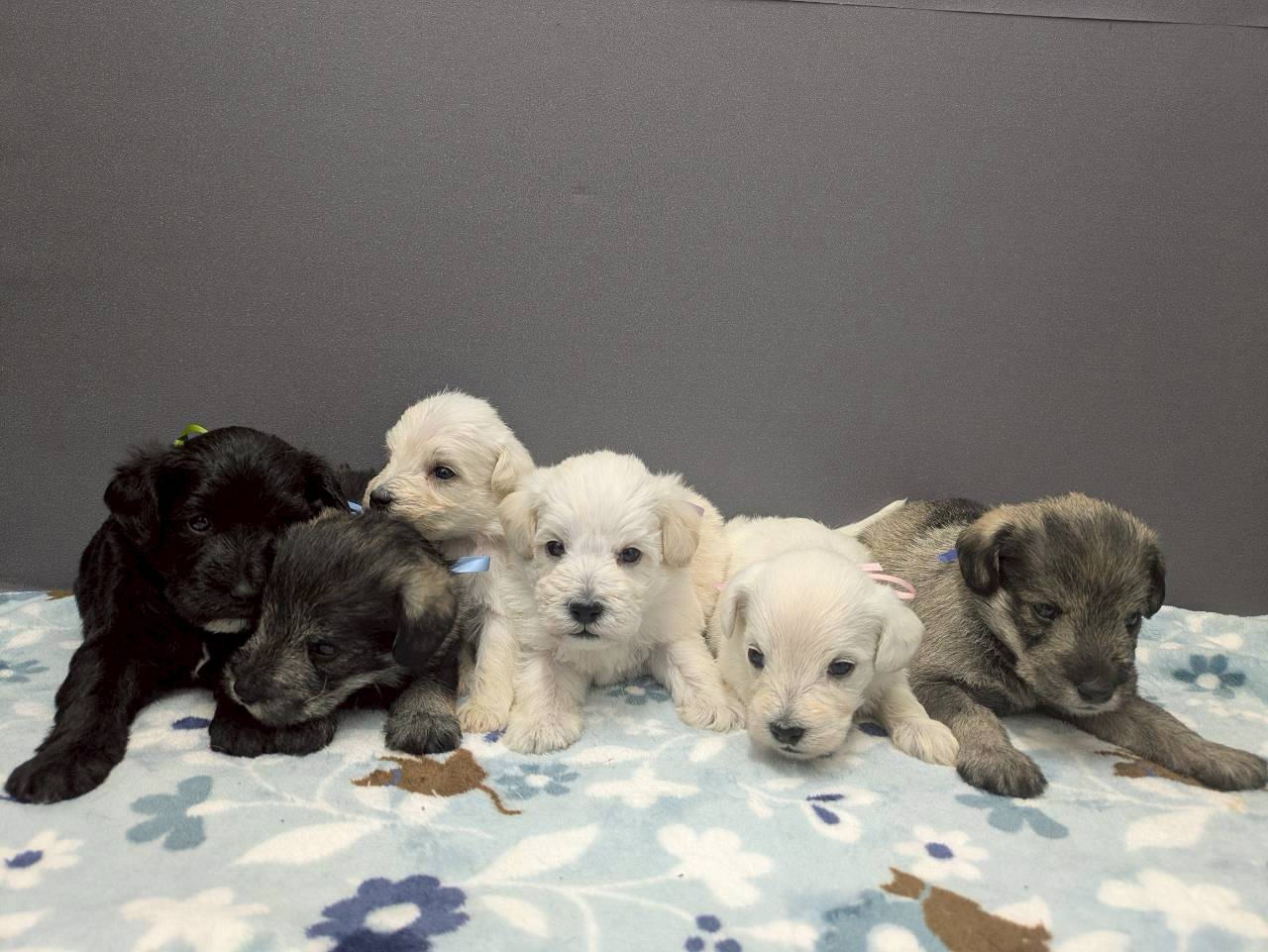 赤ちゃん写真2-3