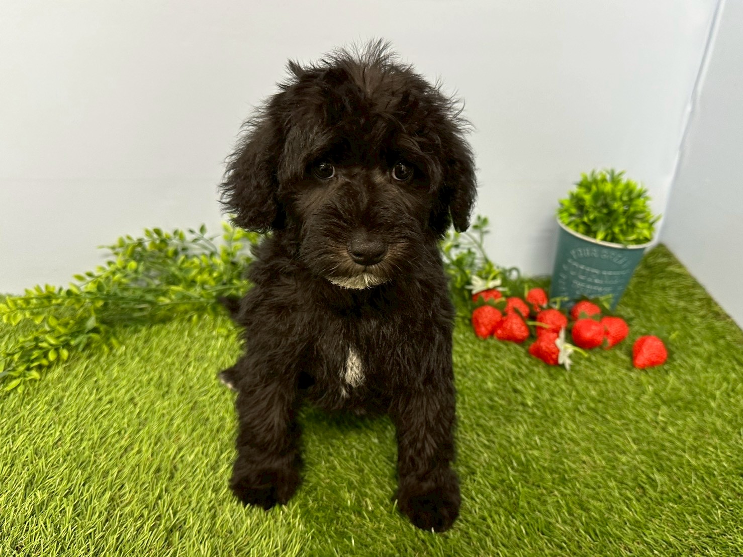 赤ちゃん写真3-1