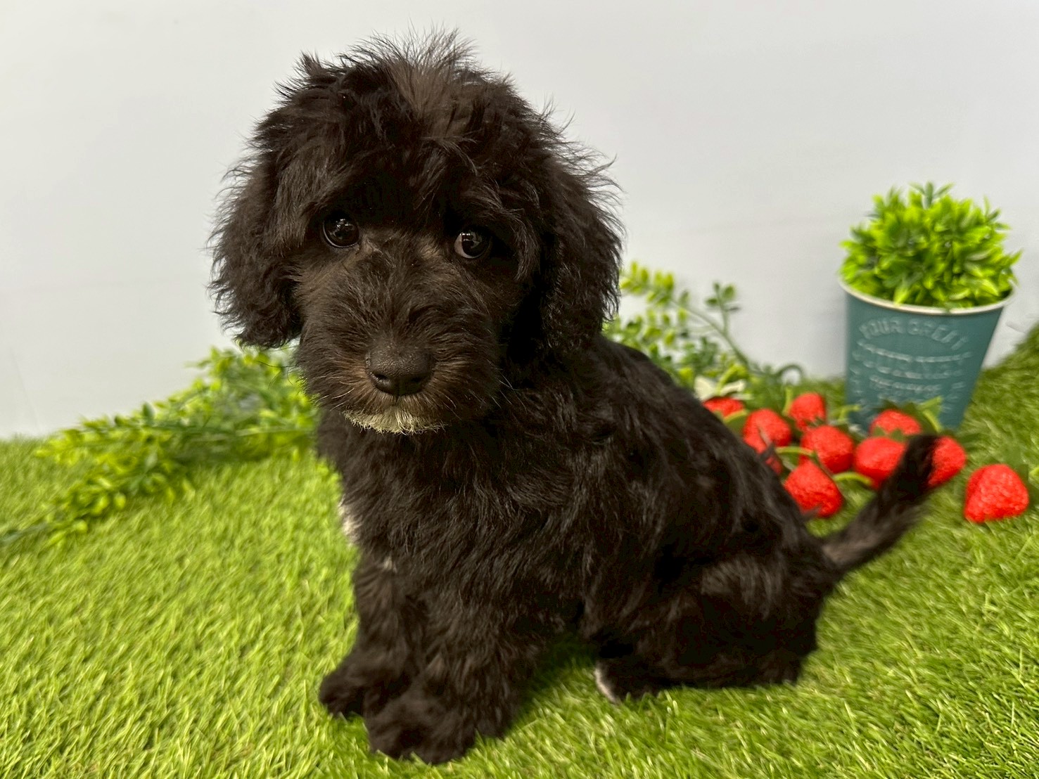 赤ちゃん写真3-2