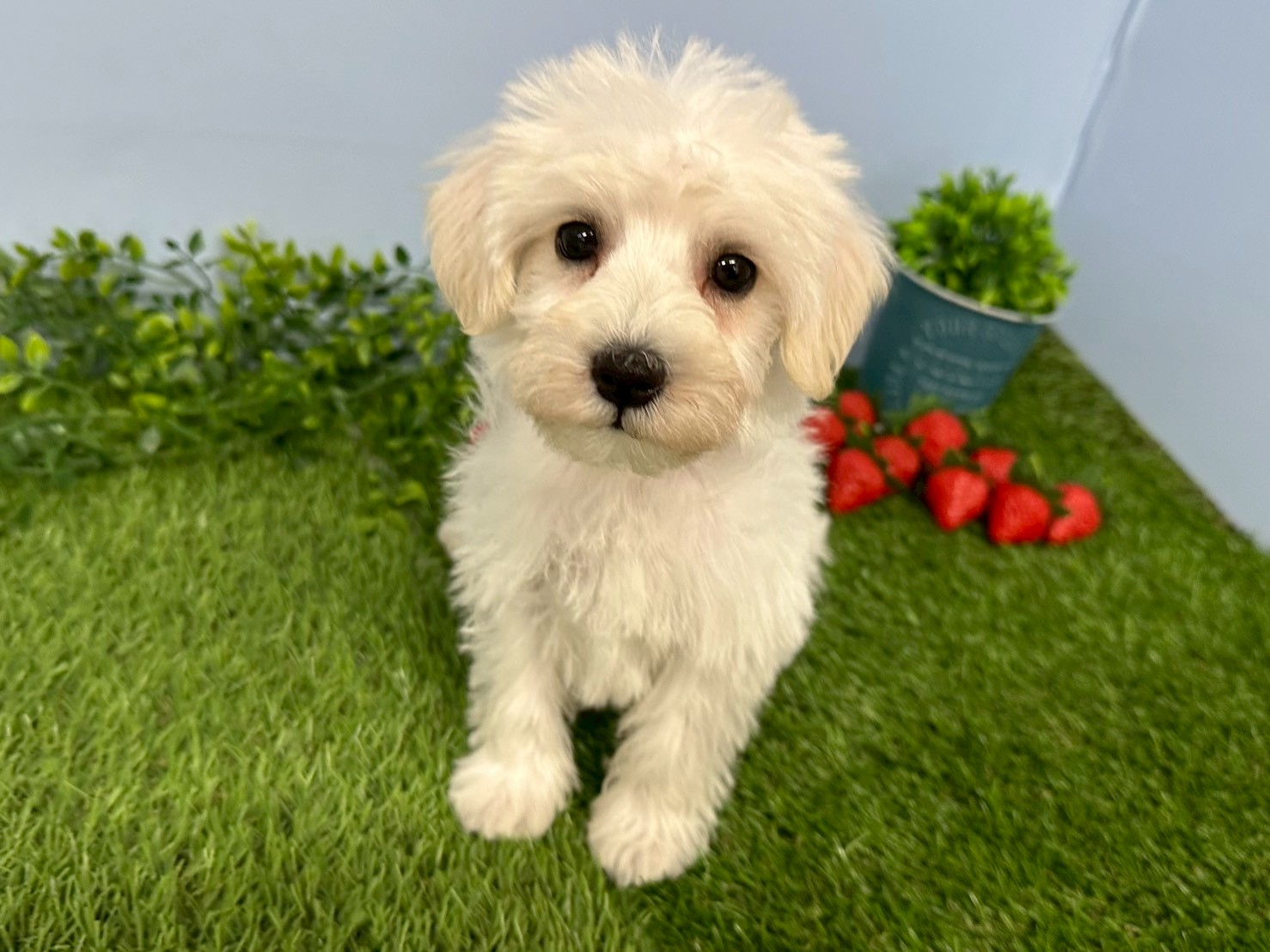 赤ちゃん写真3-1