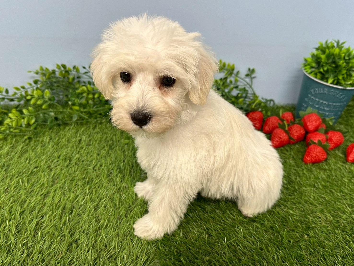 赤ちゃん写真3-2