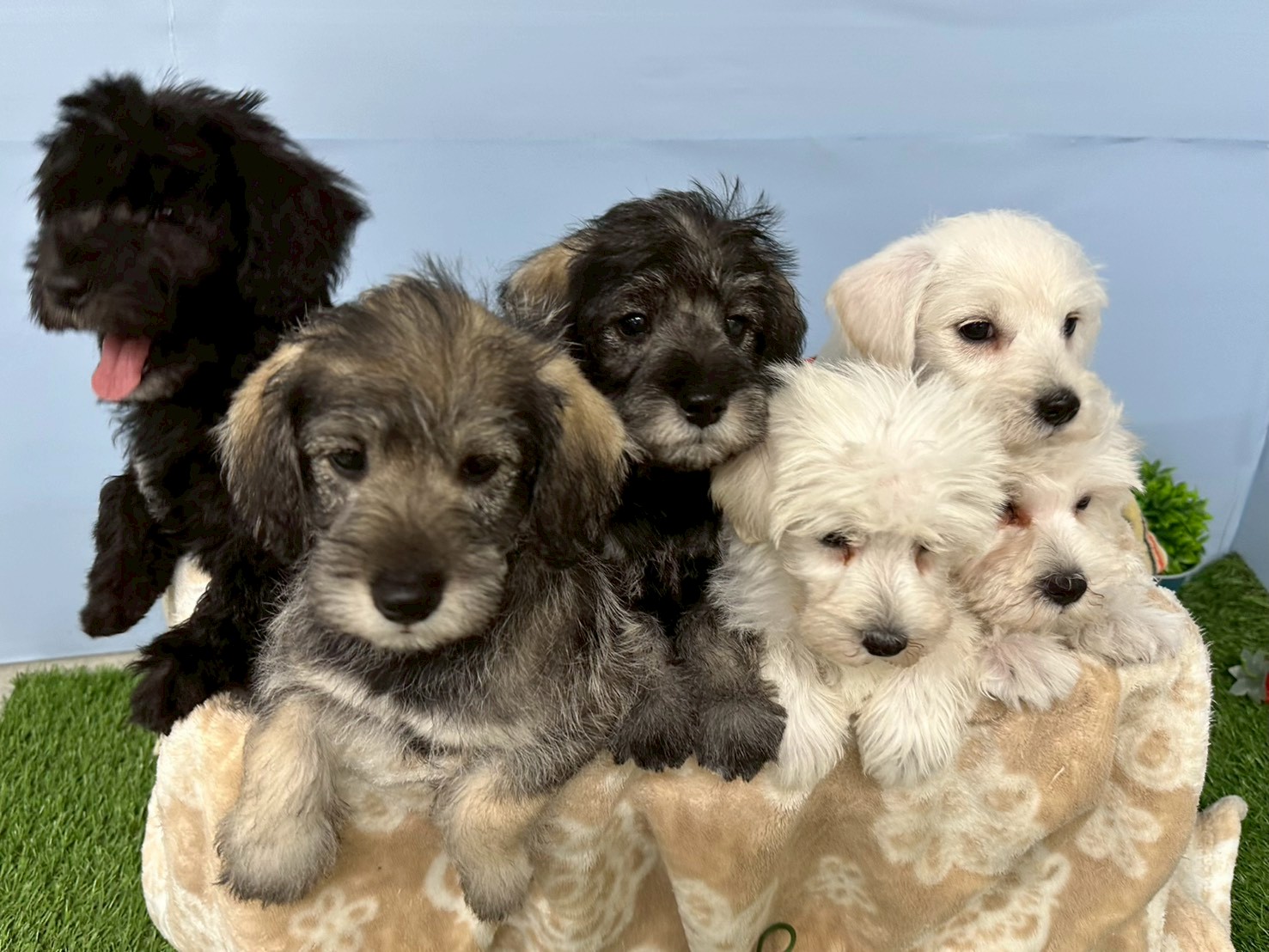 赤ちゃん写真3-3