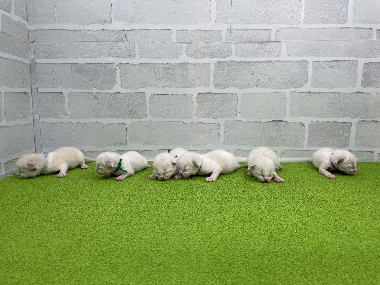 赤ちゃん写真1-3