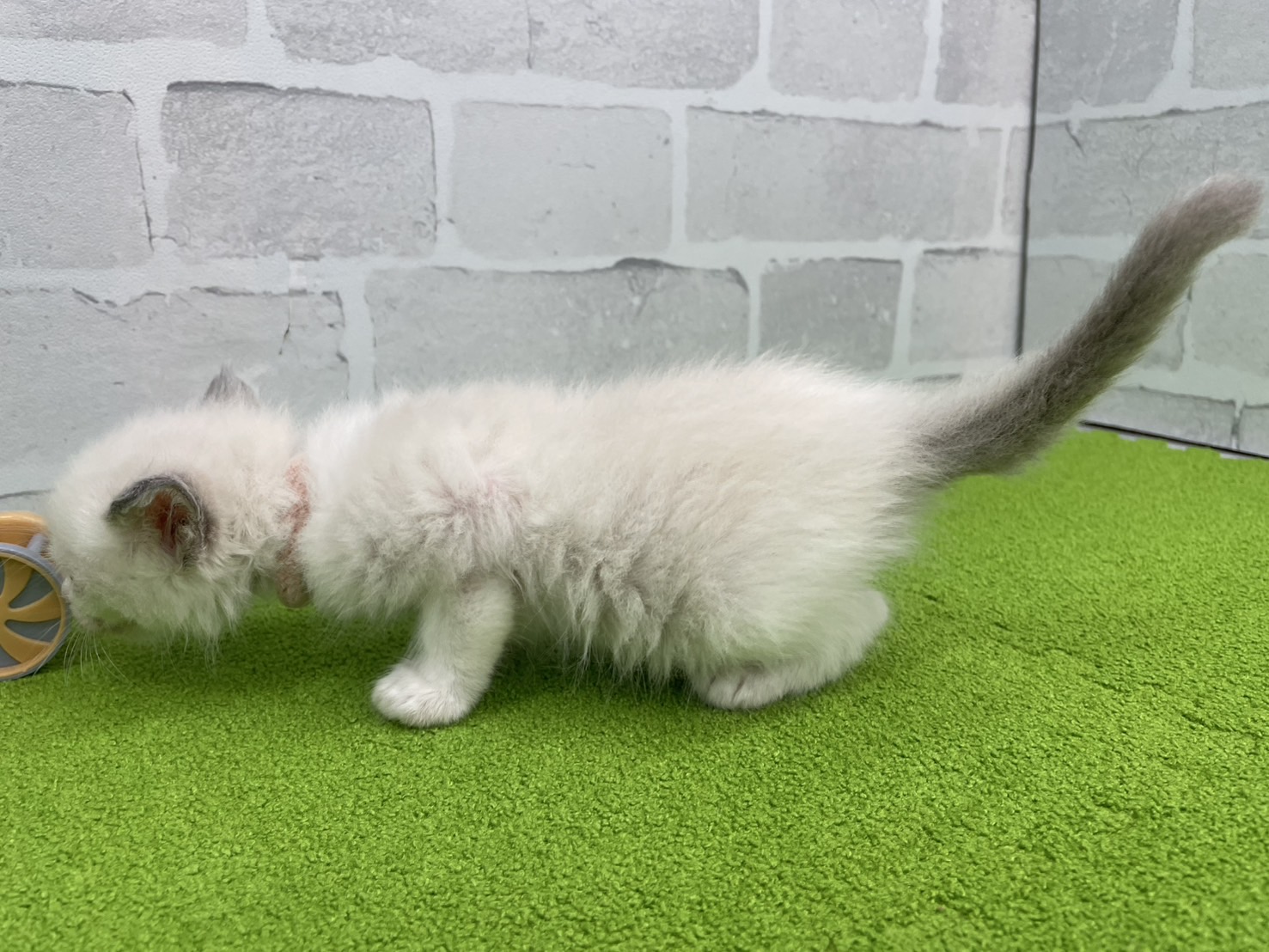 赤ちゃん写真2-2