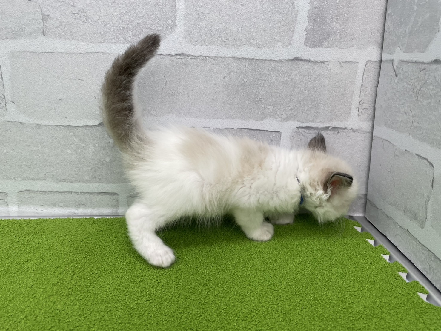 赤ちゃん写真2-2