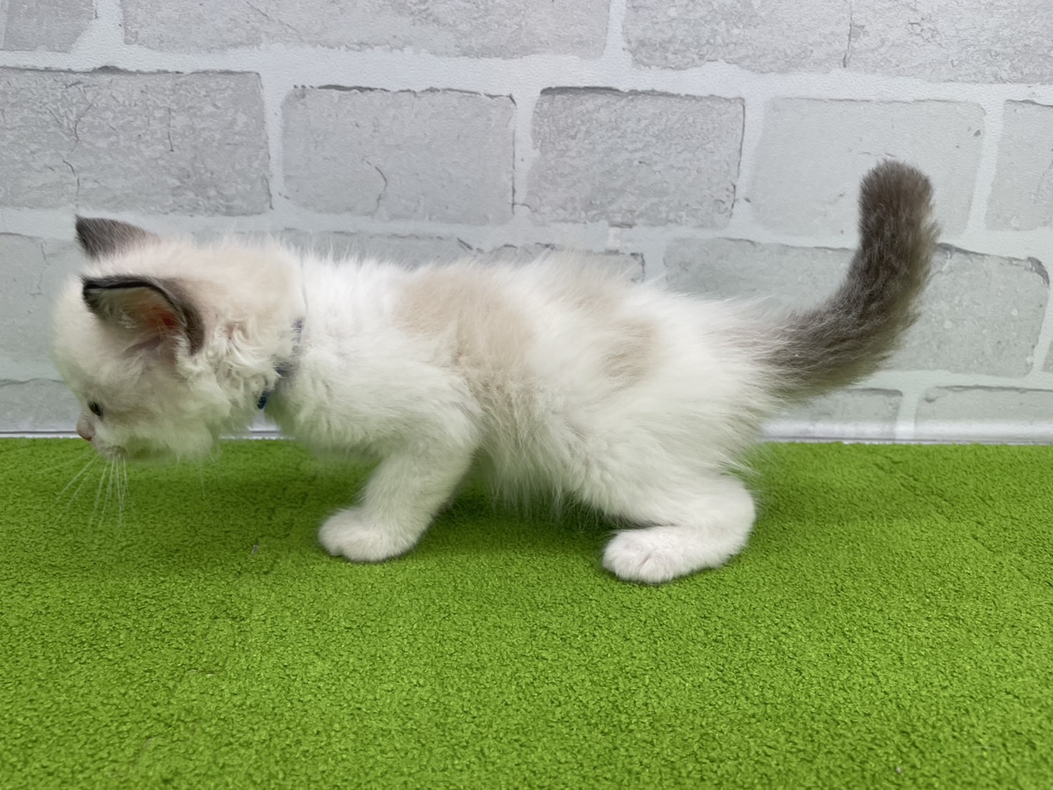 赤ちゃん写真3-2