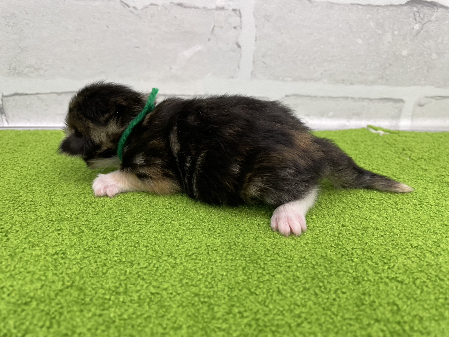 赤ちゃん写真1-2