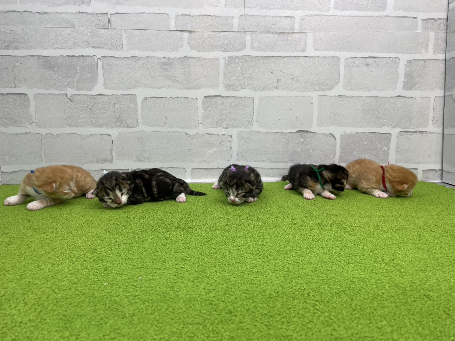 赤ちゃん写真1-3