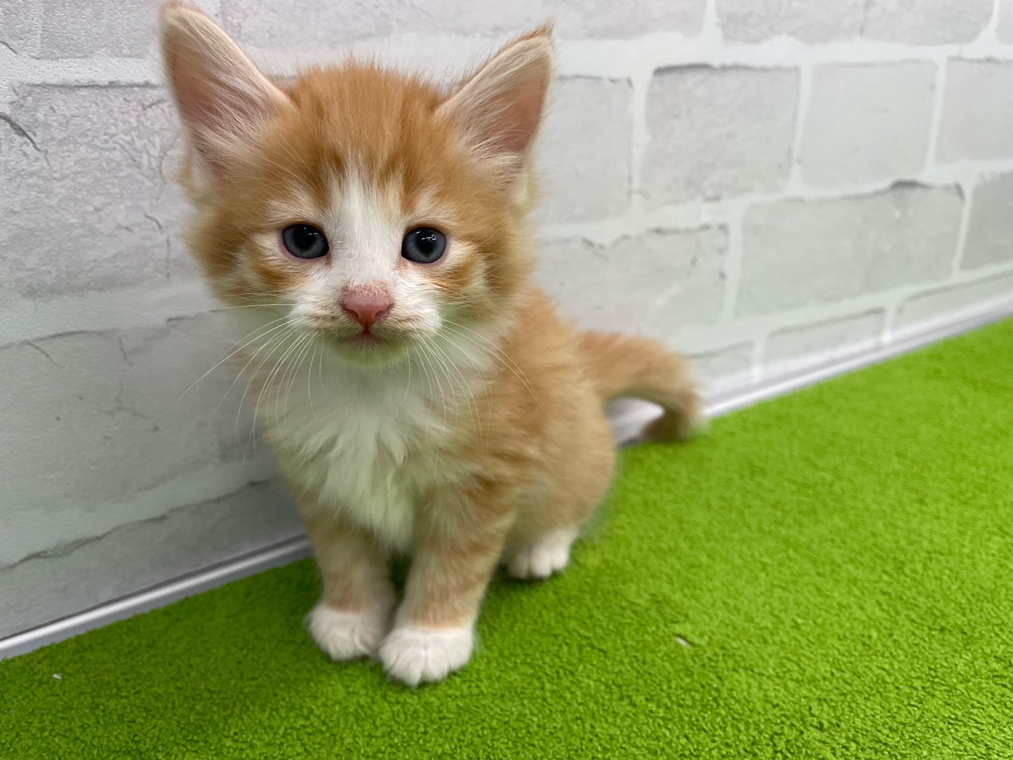 赤ちゃん写真2-1