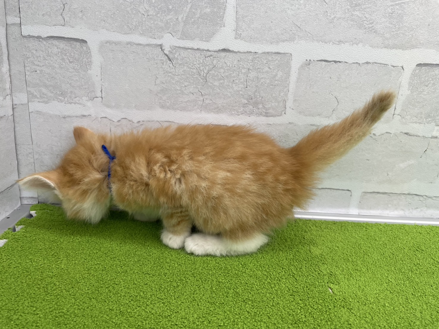 赤ちゃん写真2-2