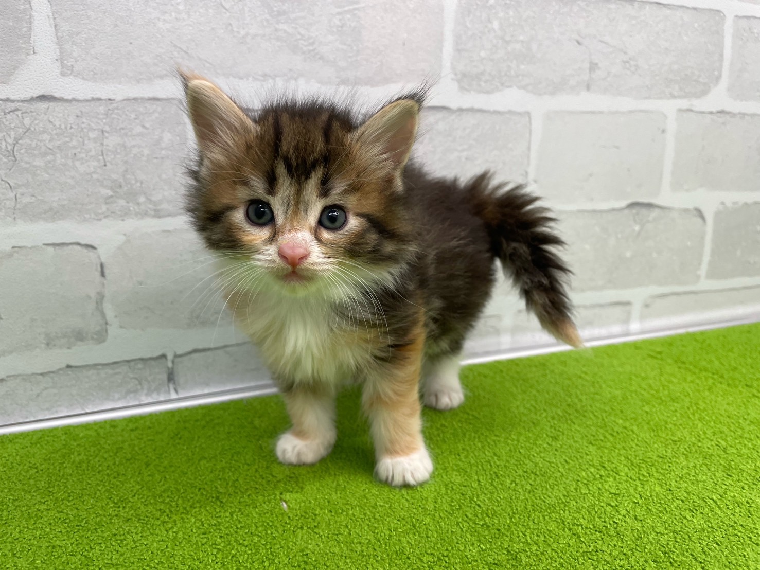 赤ちゃん写真2-1