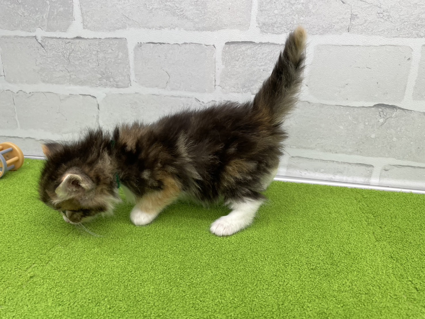 赤ちゃん写真2-2