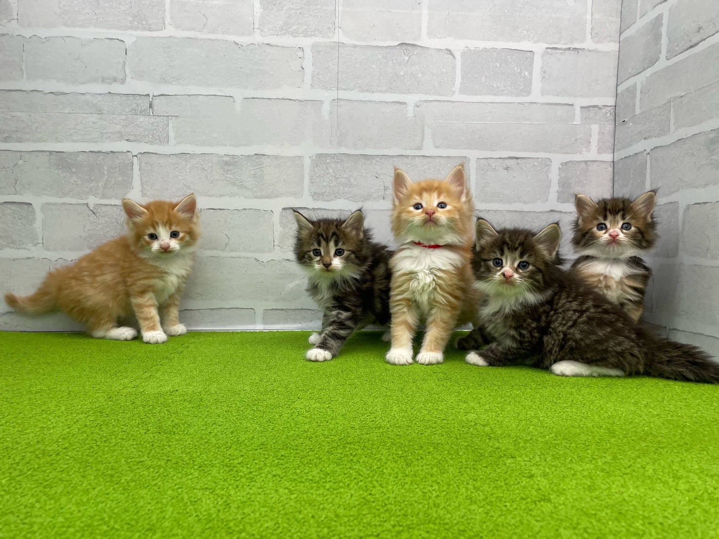 赤ちゃん写真2-3