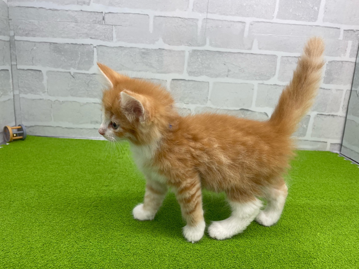 赤ちゃん写真3-2