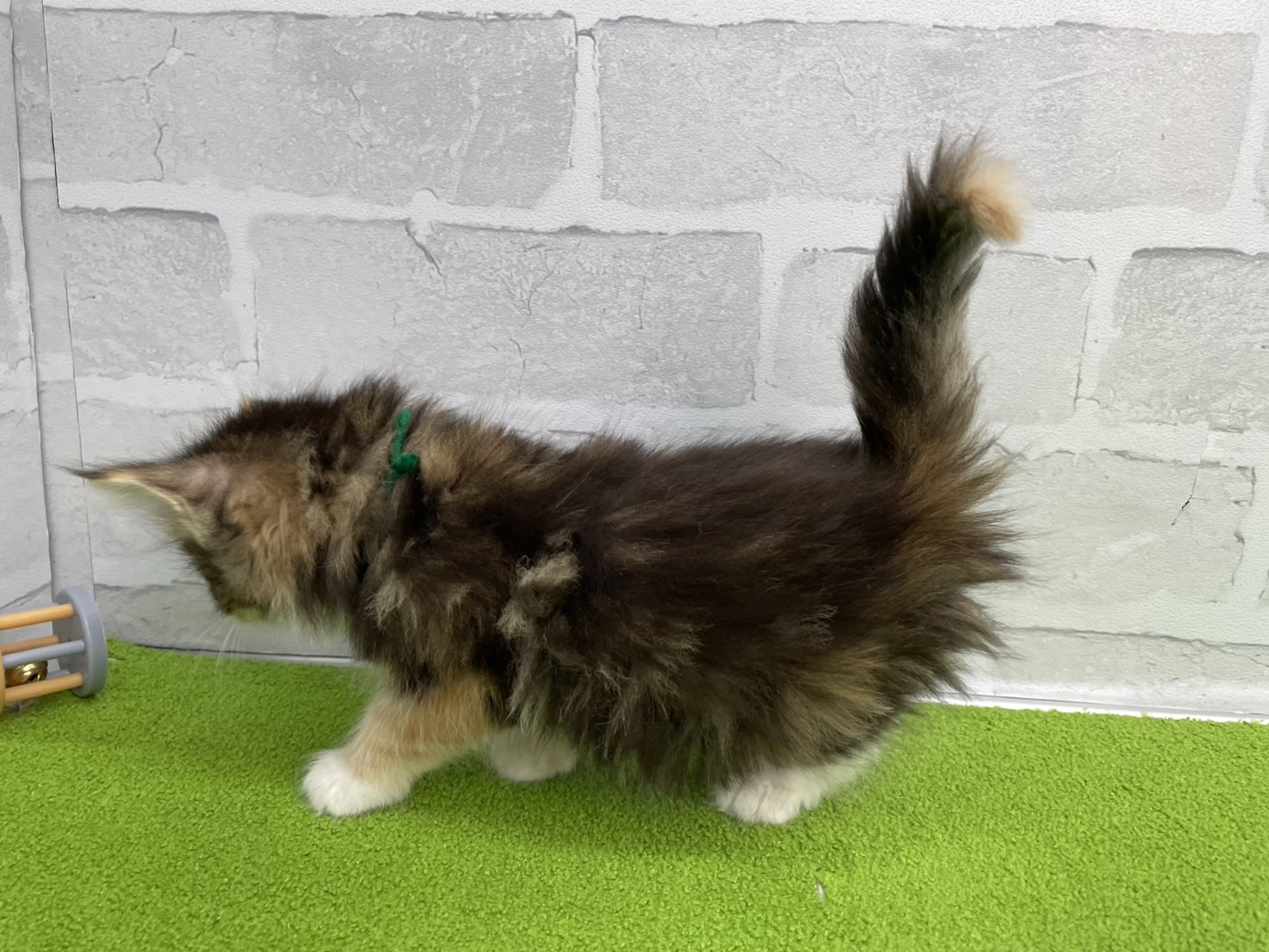 赤ちゃん写真3-2