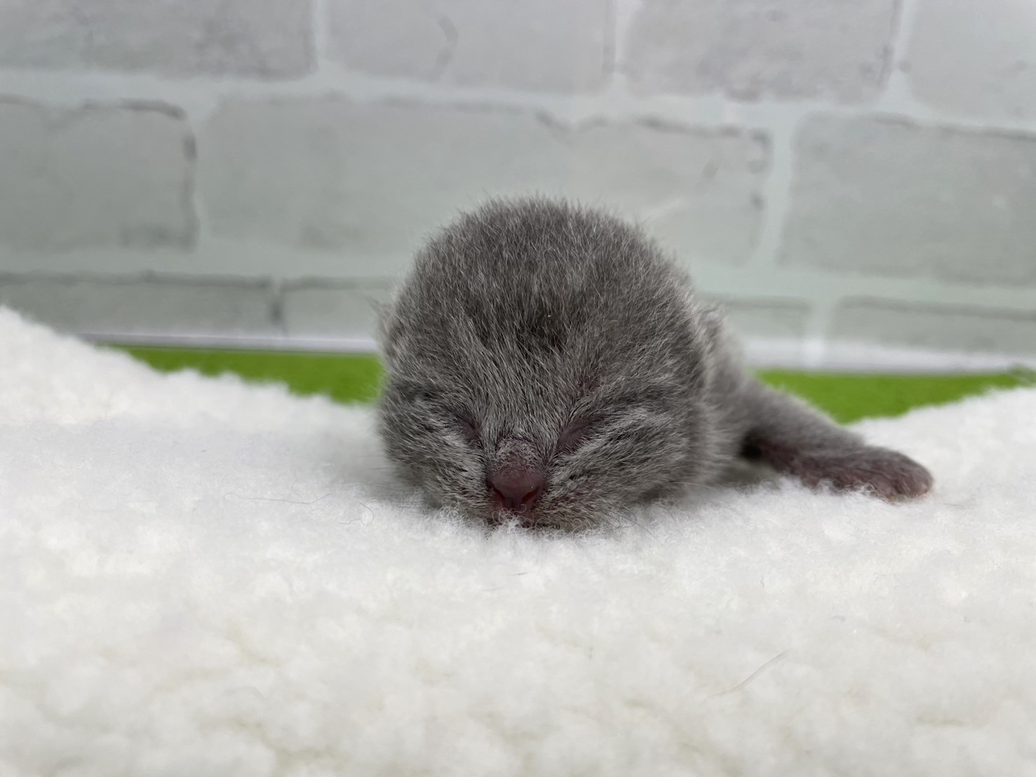 赤ちゃん写真1-1