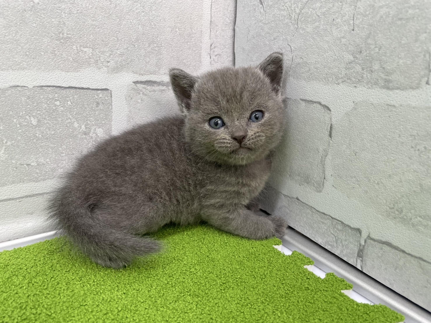 赤ちゃん写真2-1